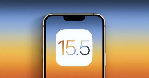 故城苹果手机维修分享iOS15.5 RC版升级建议 