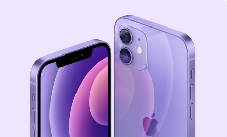故城苹果手机维修分享紫色版iPhone 12有什么技术亮点 